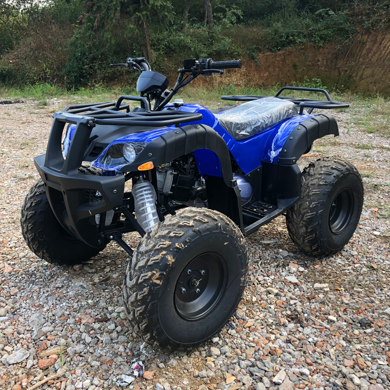 Elektrische 4-persoons 4WD 4-t - Camping Quad recensie en prijs